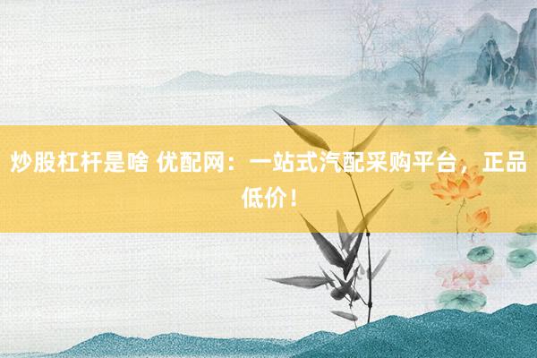 炒股杠杆是啥 优配网：一站式汽配采购平台，正品低价！