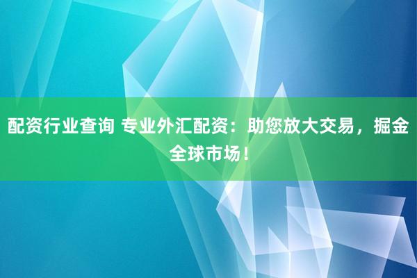 配资行业查询 专业外汇配资：助您放大交易，掘金全球市场！