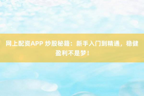 网上配资APP 炒股秘籍：新手入门到精通，稳健盈利不是梦！