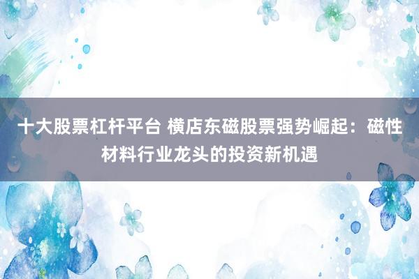 十大股票杠杆平台 横店东磁股票强势崛起：磁性材料行业龙头的投资新机遇